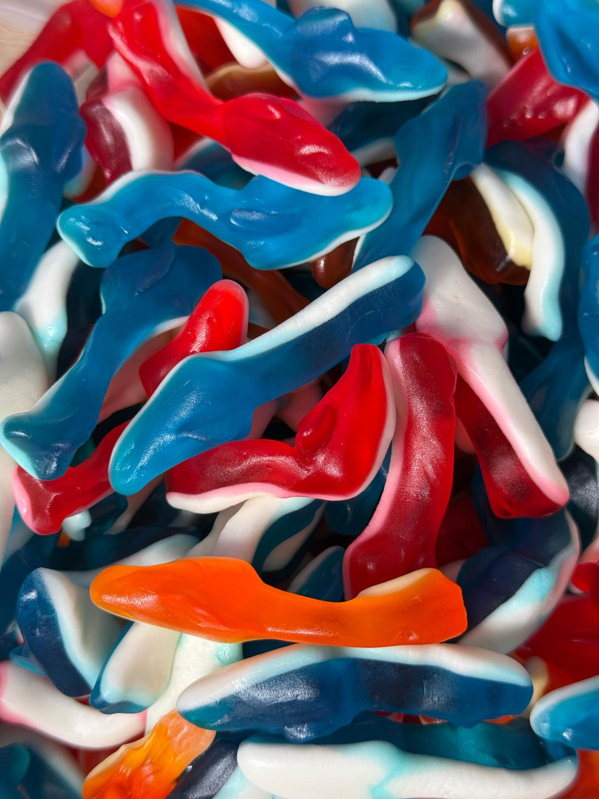 🦈 Requins (100g)