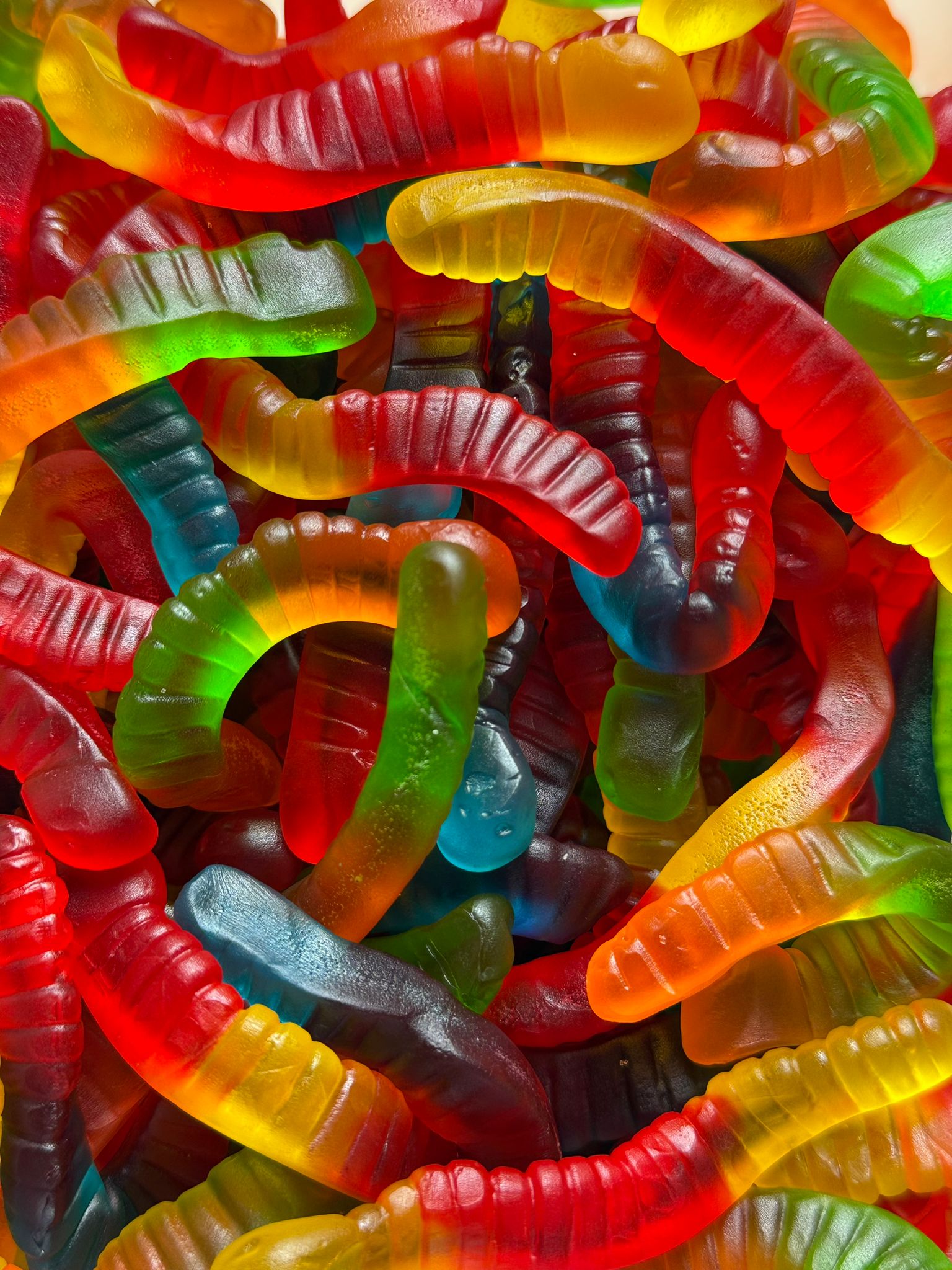 vers multicolores (100g)